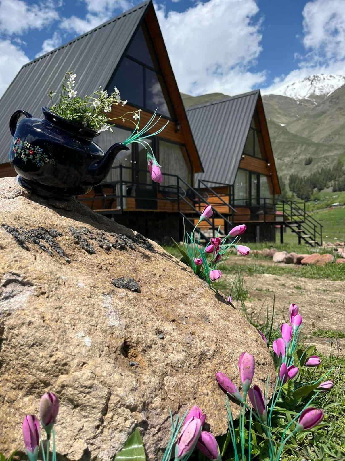 Mtisguli Cottages Kazbegi Exterior photo