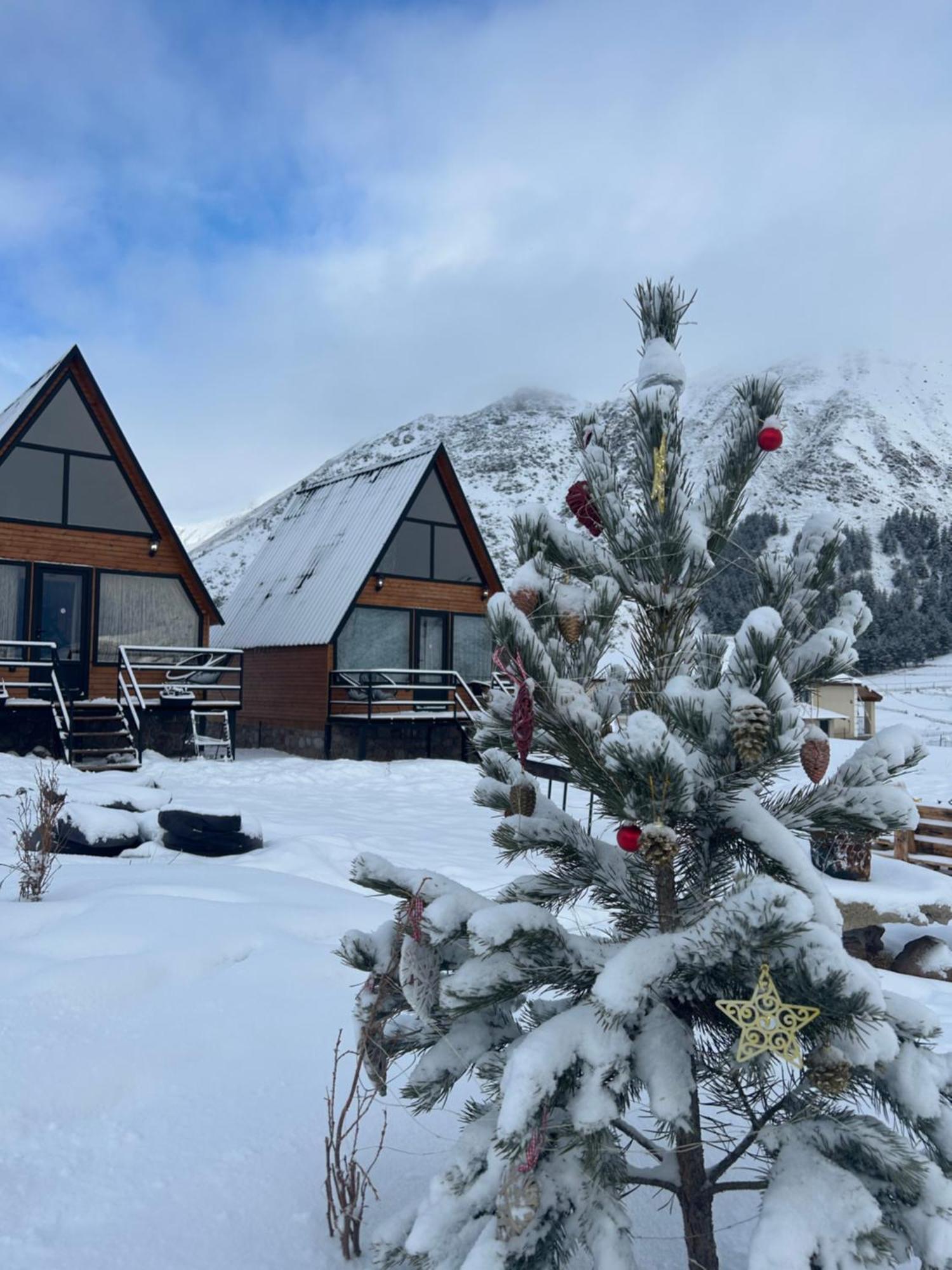 Mtisguli Cottages Kazbegi Exterior photo